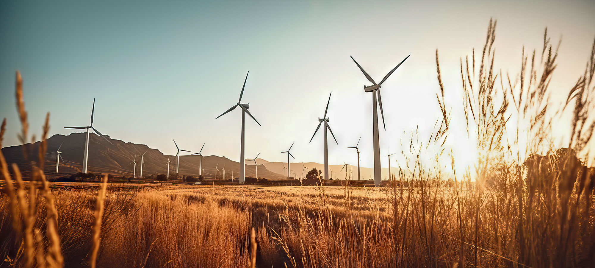 Career Change to wind energy industry